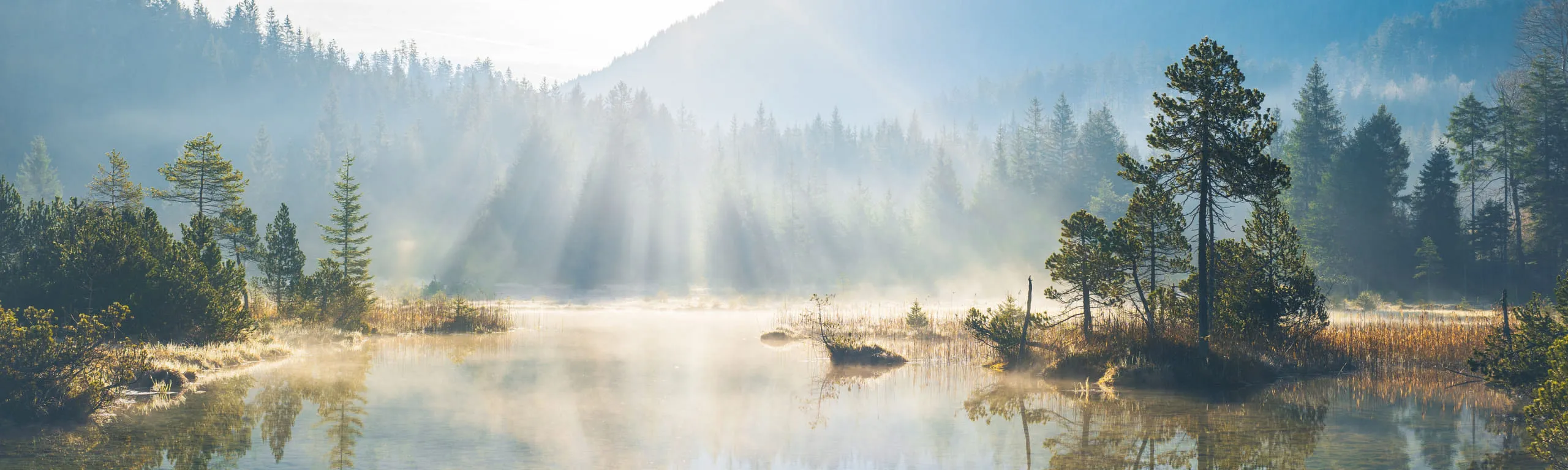 Riedener See bei Reutte mit Nebel und Bäumen im Hintergrund.
